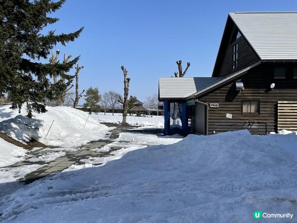 ✿漫遊北海道の美瑛✿