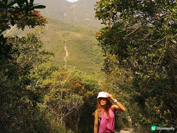 [跟我走。官方四大徑]7 - 衛奕信徑第1至2段