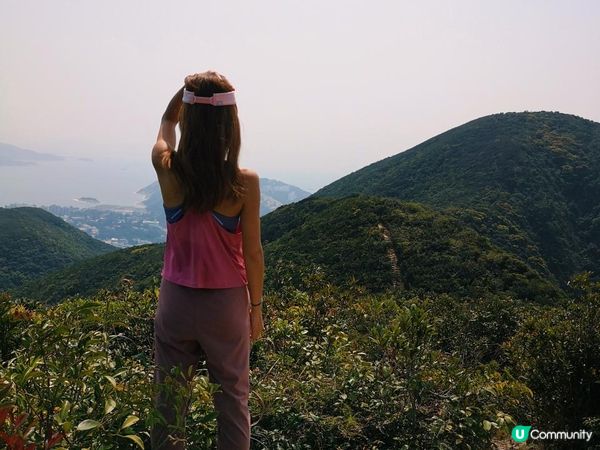 [跟我走。官方四大徑]7 - 衛奕信徑第1至2段