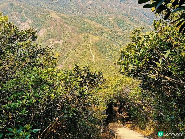 [跟我走。官方四大徑]7 - 衛奕信徑第1至2段