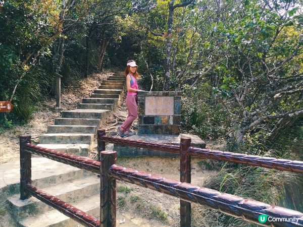 [跟我走。官方四大徑]7 - 衛奕信徑第1至2段