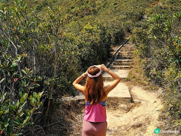 [跟我走。官方四大徑]7 - 衛奕信徑第1至2段