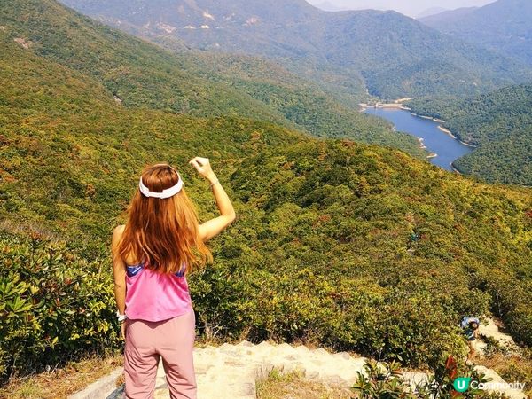 [跟我走。官方四大徑]7 - 衛奕信徑第1至2段