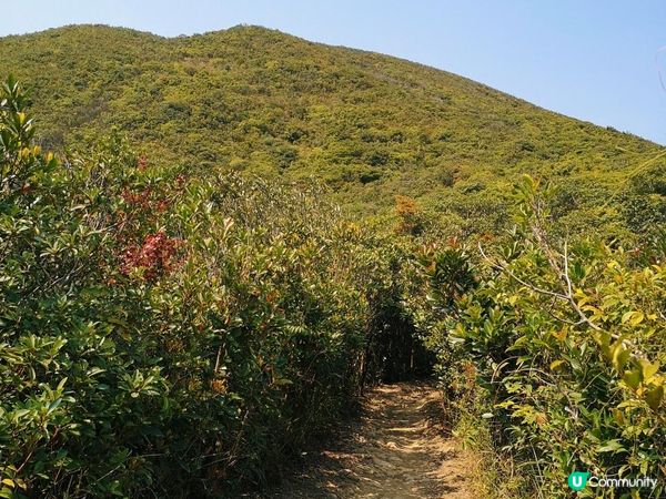 [跟我走。官方四大徑]7 - 衛奕信徑第1至2段