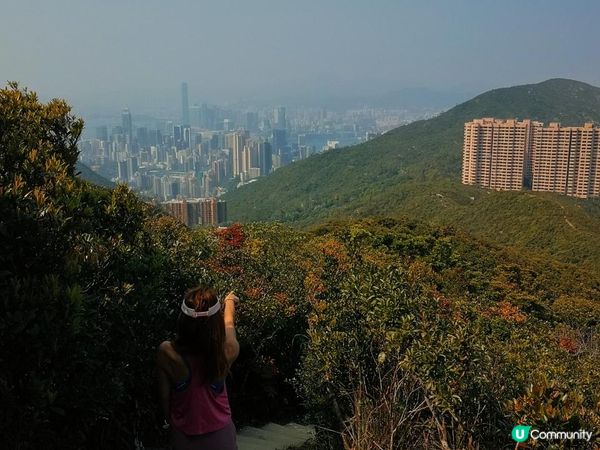 [跟我走。官方四大徑]7 - 衛奕信徑第1至2段