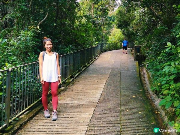 [行山要打卡]41 - 香港仔水塘。灣仔自然徑