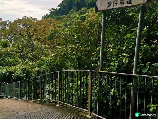 [行山要打卡]41 - 香港仔水塘。灣仔自然徑