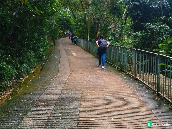 [行山要打卡]41 - 香港仔水塘。灣仔自然徑