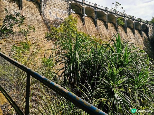 [行山要打卡]41 - 香港仔水塘。灣仔自然徑