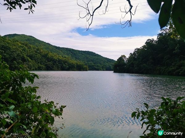 [行山要打卡]41 - 香港仔水塘。灣仔自然徑