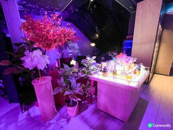 ✨銅鑼灣新派台式菜✨