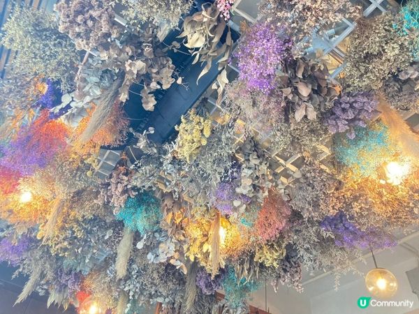 莊周夢蝶/日西料理渾然天成，我能走過十萬八千里找到你嗎？