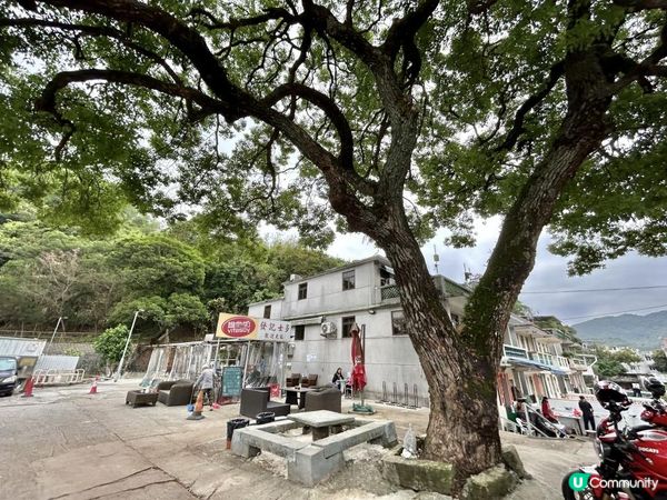 3小時世外桃源之旅｜鹿頸 > 鳳坑 > 谷埔 > 烏蛟騰