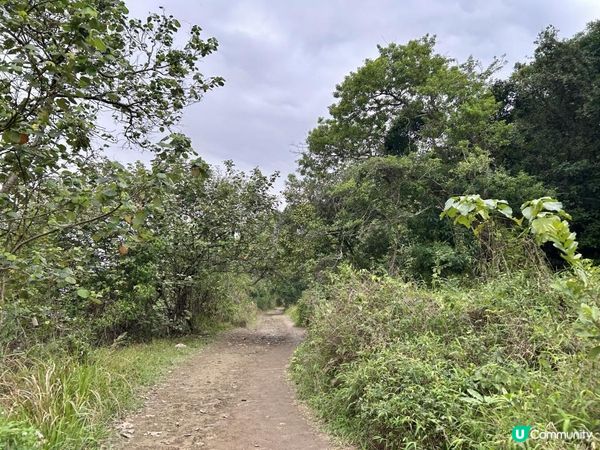 3小時世外桃源之旅｜鹿頸 > 鳳坑 > 谷埔 > 烏蛟騰