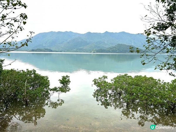 3小時世外桃源之旅｜鹿頸 > 鳳坑 > 谷埔 > 烏蛟騰