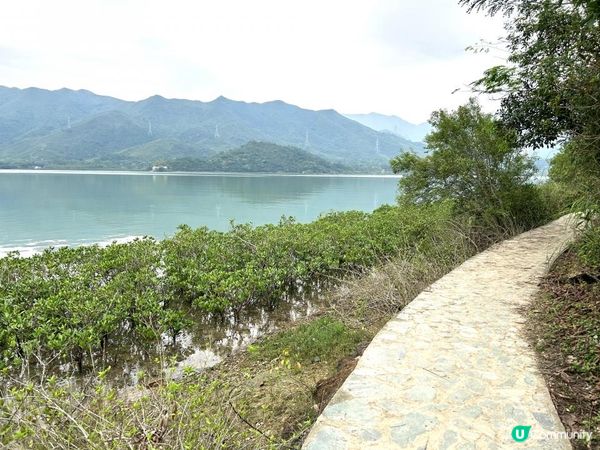 3小時世外桃源之旅｜鹿頸 > 鳳坑 > 谷埔 > 烏蛟騰