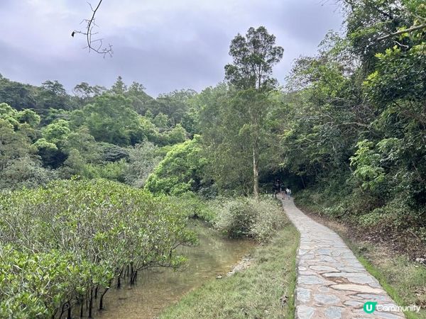 3小時世外桃源之旅｜鹿頸 > 鳳坑 > 谷埔 > 烏蛟騰