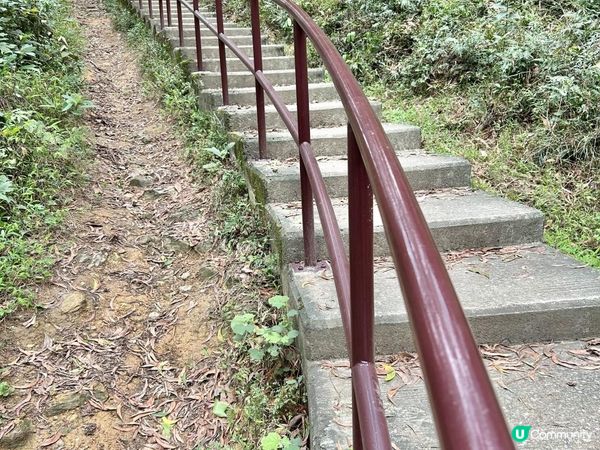 3小時世外桃源之旅｜鹿頸 > 鳳坑 > 谷埔 > 烏蛟騰