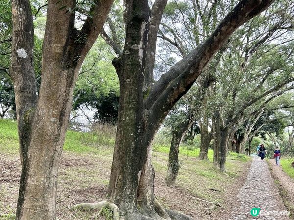3小時世外桃源之旅｜鹿頸 > 鳳坑 > 谷埔 > 烏蛟騰