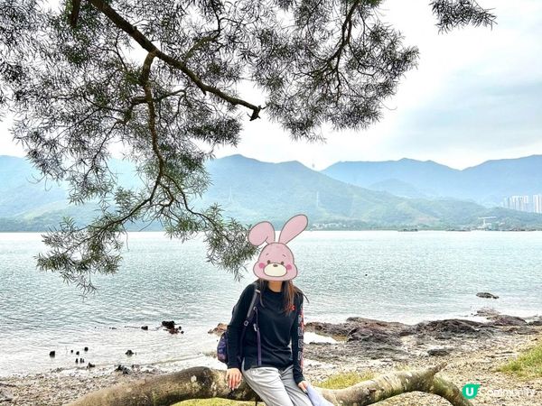 3小時世外桃源之旅｜鹿頸 > 鳳坑 > 谷埔 > 烏蛟騰