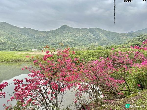 3小時世外桃源之旅｜鹿頸 > 鳳坑 > 谷埔 > 烏蛟騰