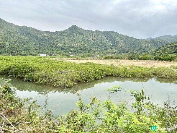 3小時世外桃源之旅｜鹿頸 > 鳳坑 > 谷埔 > 烏蛟騰