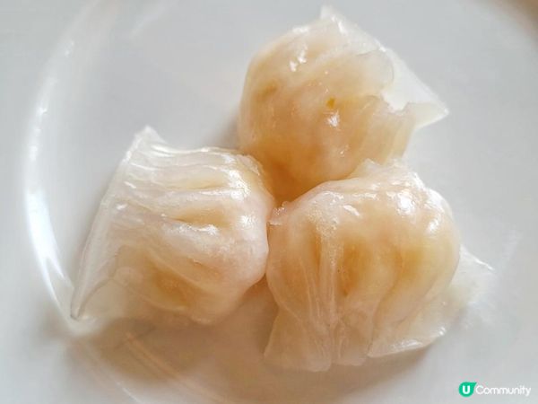 《環迴深圳》X 營地下午茶 X 乘坐小火車 X 適合一家大細的金沙灣萬豪 (第二日)