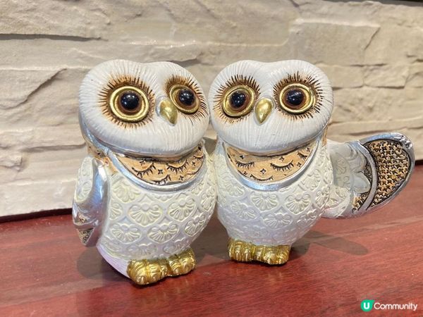 位於太子新開業貓頭鷹主題健康多樣化西餐—Owl’s Stage，限時開業優惠