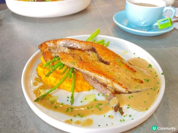 位於太子新開業貓頭鷹主題健康多樣化西餐—Owl’s Stage，限時開業優惠