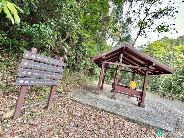 大埔滘林徑(黃路)｜4小時森林浴｜尋訪4大打卡位：治癒系溪流💦珊瑚魚巨石🐠越百米竹林步道🎋熱帶雨林🌳