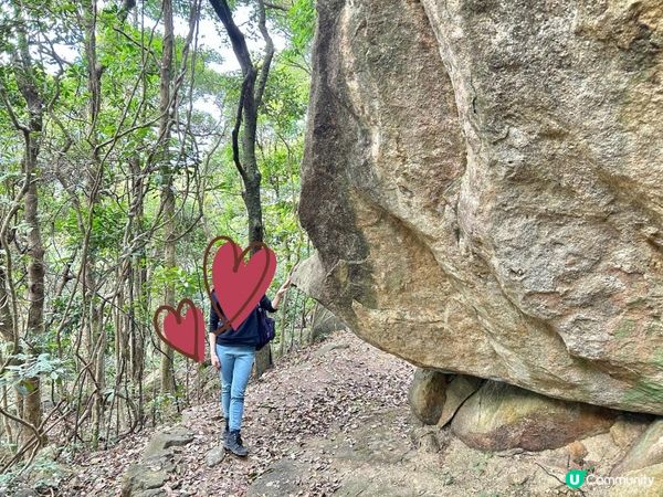 大埔滘林徑(黃路)｜4小時森林浴｜尋訪4大打卡位：治癒系溪流💦珊瑚魚巨石🐠越百米竹林步道🎋熱帶雨林🌳