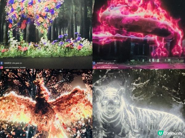 ARTE M 沉浸式數碼藝術博物館｜打卡一流！體驗7大主題｜參觀後感＋拍攝心得分享