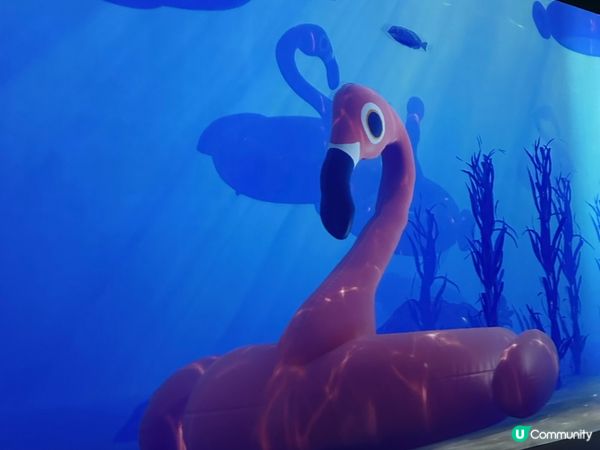 ARTE M 沉浸式數碼藝術博物館｜打卡一流！體驗7大主題｜參觀後感＋拍攝心得分享