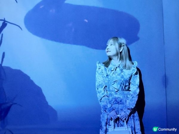 ARTE M 沉浸式數碼藝術博物館｜打卡一流！體驗7大主題｜參觀後感＋拍攝心得分享