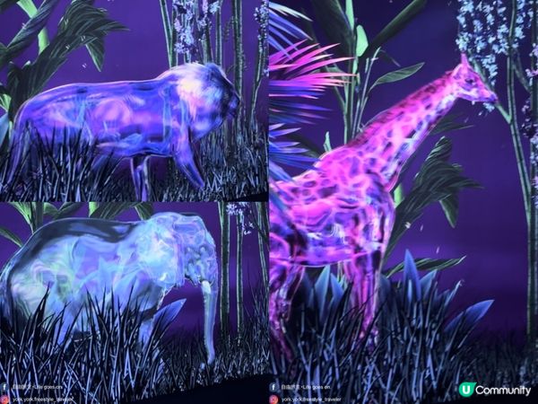 ARTE M 沉浸式數碼藝術博物館｜打卡一流！體驗7大主題｜參觀後感＋拍攝心得分享