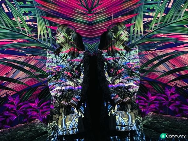 ARTE M 沉浸式數碼藝術博物館｜打卡一流！體驗7大主題｜參觀後感＋拍攝心得分享