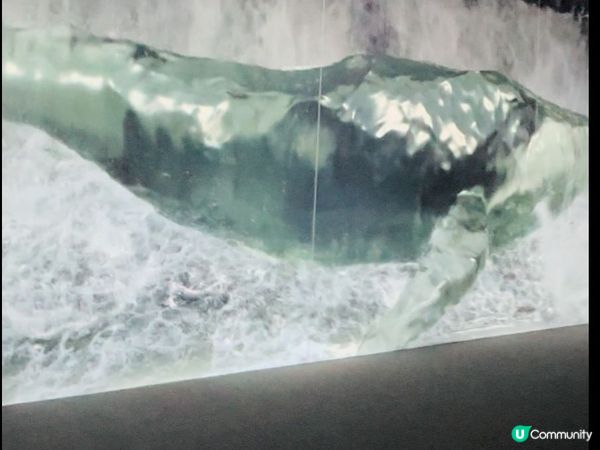 ARTE M 沉浸式數碼藝術博物館｜打卡一流！體驗7大主題｜參觀後感＋拍攝心得分享