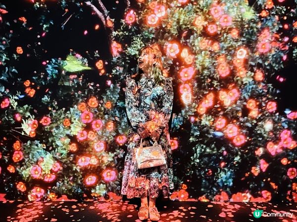 ARTE M 沉浸式數碼藝術博物館｜打卡一流！體驗7大主題｜參觀後感＋拍攝心得分享