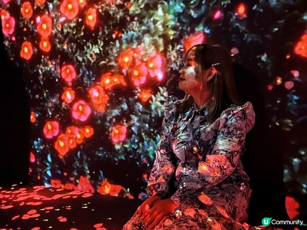 ARTE M 沉浸式數碼藝術博物館｜打卡一流！體驗7大主題｜參觀後感＋拍攝心得分享