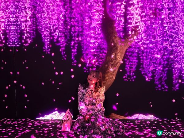 ARTE M 沉浸式數碼藝術博物館｜打卡一流！體驗7大主題｜參觀後感＋拍攝心得分享