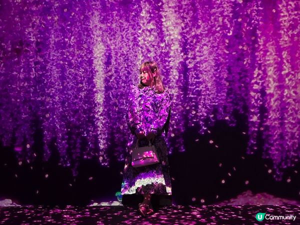 ARTE M 沉浸式數碼藝術博物館｜打卡一流！體驗7大主題｜參觀後感＋拍攝心得分享