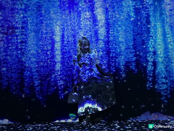 ARTE M 沉浸式數碼藝術博物館｜打卡一流！體驗7大主題｜參觀後感＋拍攝心得分享