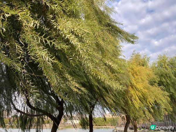 台中帝國製糖廠