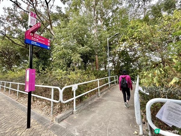 昂坪360救援徑「木棧步道」｜3.5小時靚景遠足｜日韓風打卡熱點