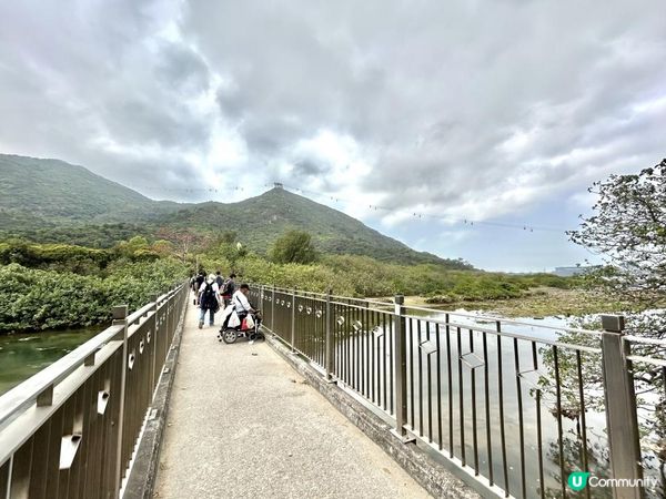 昂坪360救援徑「木棧步道」｜3.5小時靚景遠足｜日韓風打卡熱點