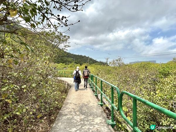 昂坪360救援徑「木棧步道」｜3.5小時靚景遠足｜日韓風打卡熱點