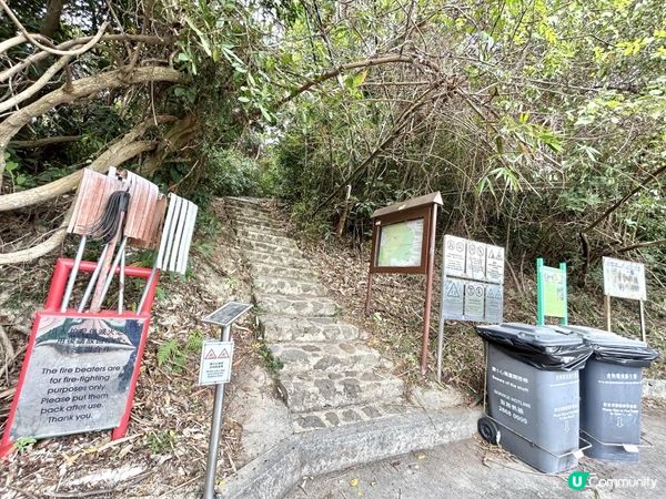 昂坪360救援徑「木棧步道」｜3.5小時靚景遠足｜日韓風打卡熱點