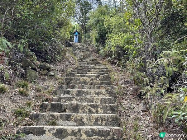 昂坪360救援徑「木棧步道」｜3.5小時靚景遠足｜日韓風打卡熱點
