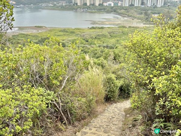 昂坪360救援徑「木棧步道」｜3.5小時靚景遠足｜日韓風打卡熱點