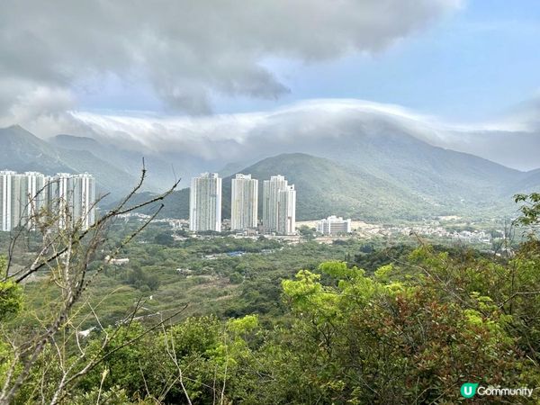 昂坪360救援徑「木棧步道」｜3.5小時靚景遠足｜日韓風打卡熱點